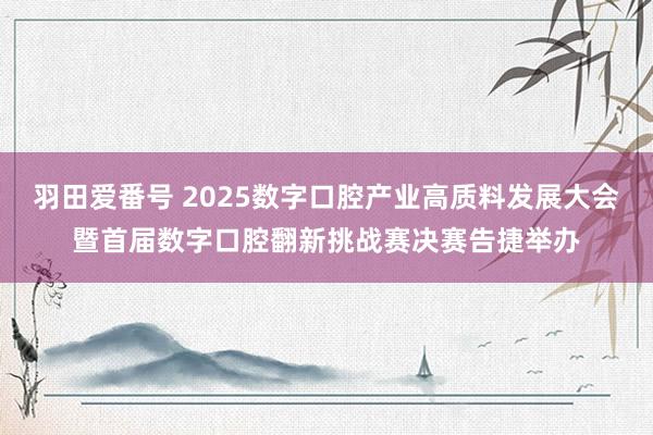 羽田爱番号 2025数字口腔产业高质料发展大会暨首届数字口腔翻新挑战赛决赛告捷举办