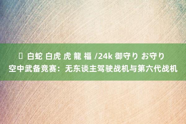 ✨白蛇 白虎 虎 龍 福 /24k 御守り お守り 空中武备竞赛：无东谈主驾驶战机与第六代战机