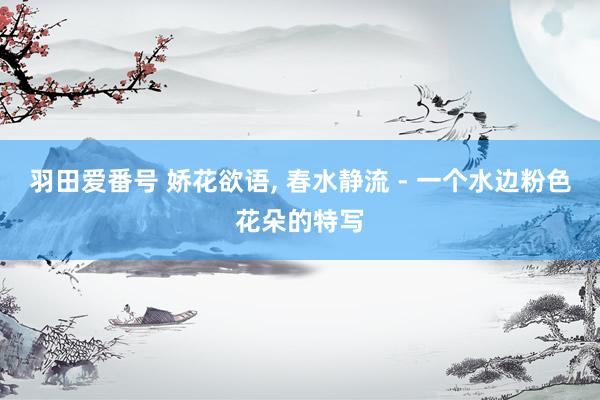 羽田爱番号 娇花欲语， 春水静流 - 一个水边粉色花朵的特写
