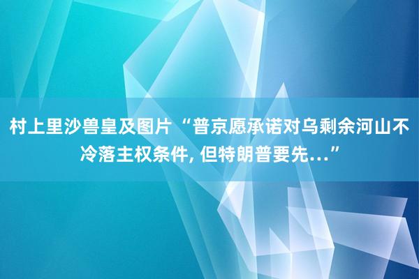 村上里沙兽皇及图片 “普京愿承诺对乌剩余河山不冷落主权条件， 但特朗普要先…”
