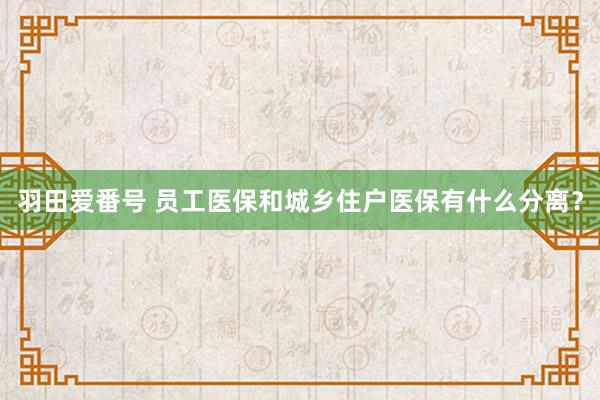 羽田爱番号 员工医保和城乡住户医保有什么分离？