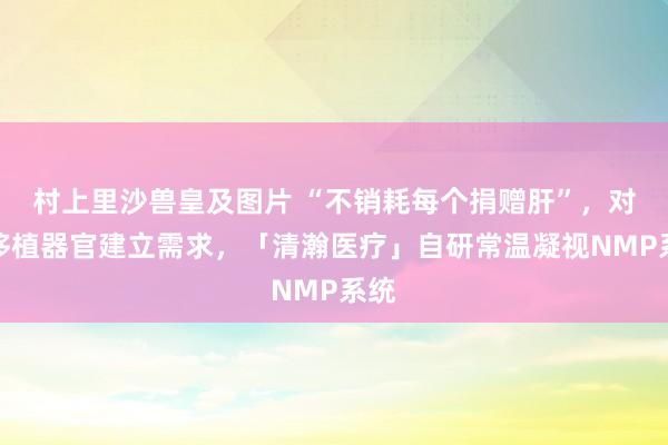 村上里沙兽皇及图片 “不销耗每个捐赠肝”，对准移植器官建立需求，「清瀚医疗」自研常温凝视NMP系统
